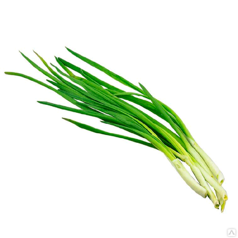 Лук